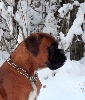 - Funken découvre la neige !